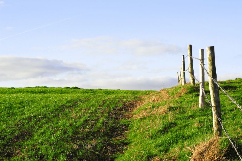 Fence detail